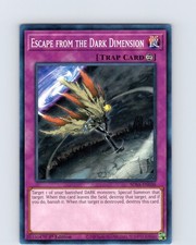 Yu-Gi-Oh Escape From The Dark Dimension SDSA-EN036 1st Edition Common Card NM