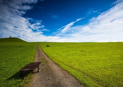 Serene Landschaft Wandkunst   Ruhiger Landweg Realistische Natur Lands
