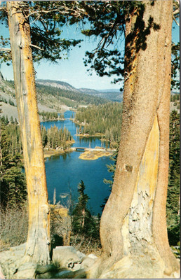 Twin Lakes-Inyo National Forest, California-Chrome Postcard