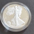 2021-W American Silver Eagle 1 oz Silver Proof Coin w/COA & OGP