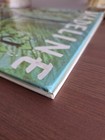 Bild 5 von 12