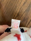 Foto 9 di 9