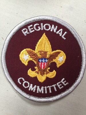 Regional Committee purple plastic back adult BSA Position Patch
