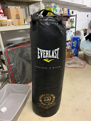 100th anniversary Everlast heavy bag