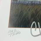 Picture 10 of 21