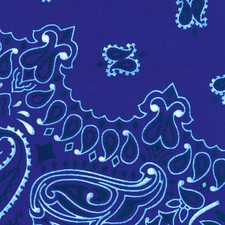 Hav-A-Hank Paisley Bandanna 22"X22"-Royal - 6 Pack