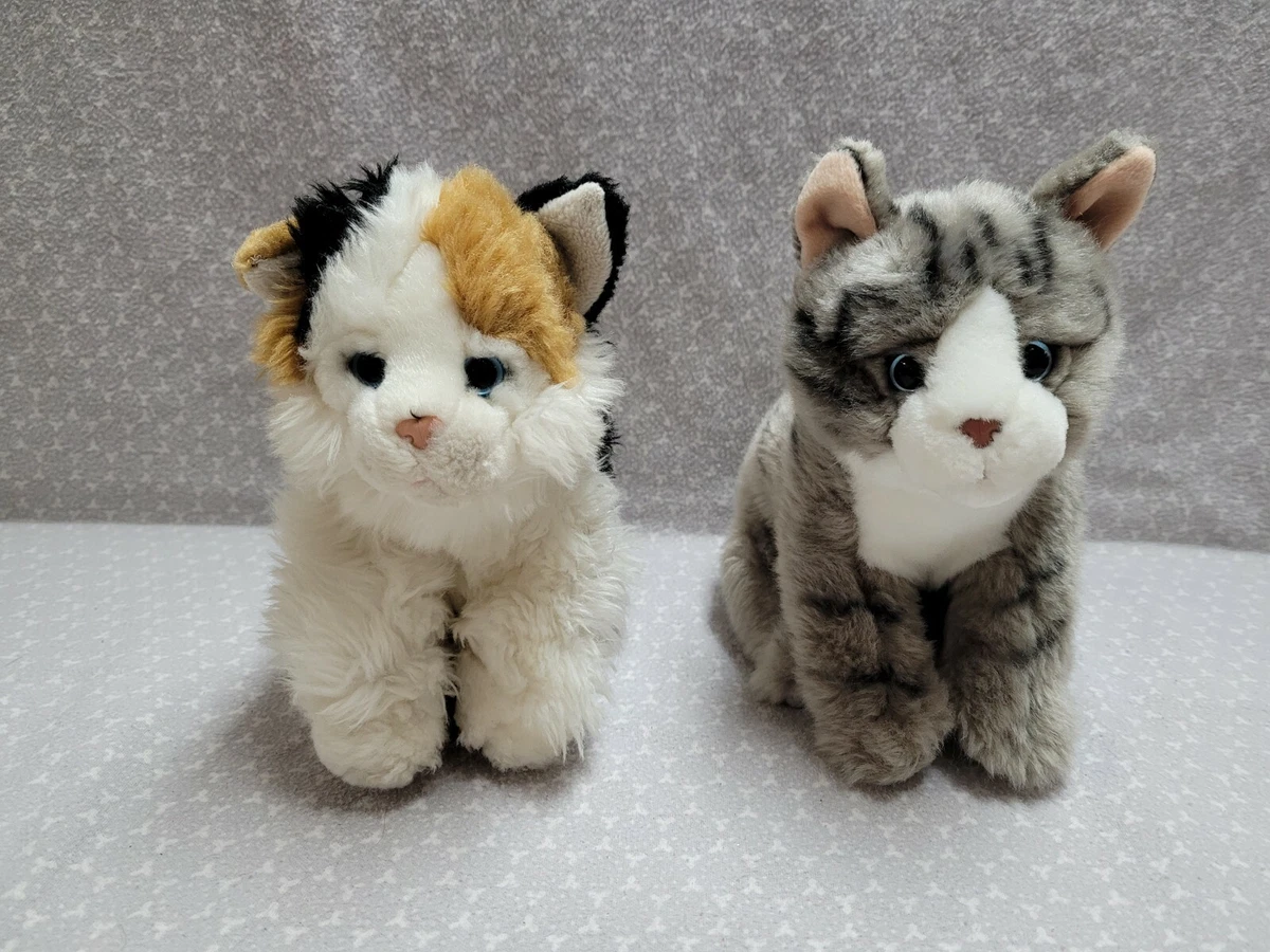 Kitten top plush toy