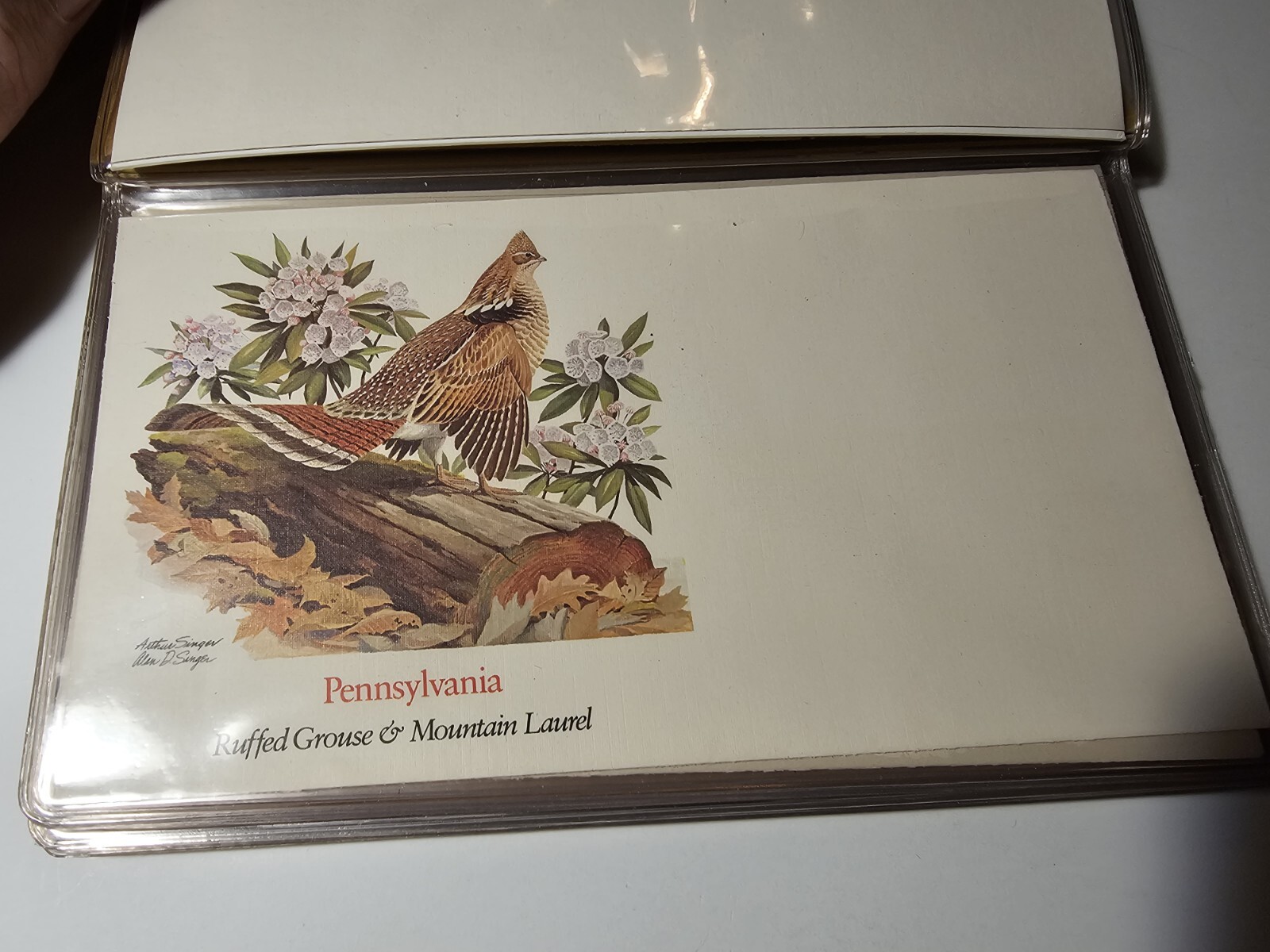 Picture 7 of 13