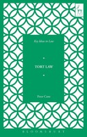 Peter Cane | Key Ideas in Tort Law | Taschenbuch | Englisch (2017)