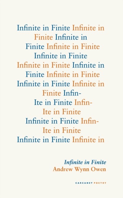 Infinite in Finite by Andrew Wynn Owen PAPERBACK - Image 4