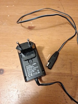 Ansmann Plug-In Charger für Bleiakkus AN-IS-2011-073