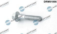 Dr.Motor Automotive DRM01066 Schraube, Einspritzdüsenhalter für FORD