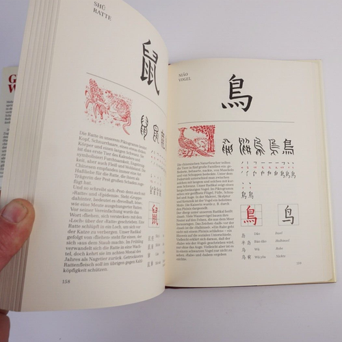 Gemalte Wörter. 214 chinesische Schriftzeichen. Vom Bild zum Begriff. Ein Schlüs - Bild 6 von 14