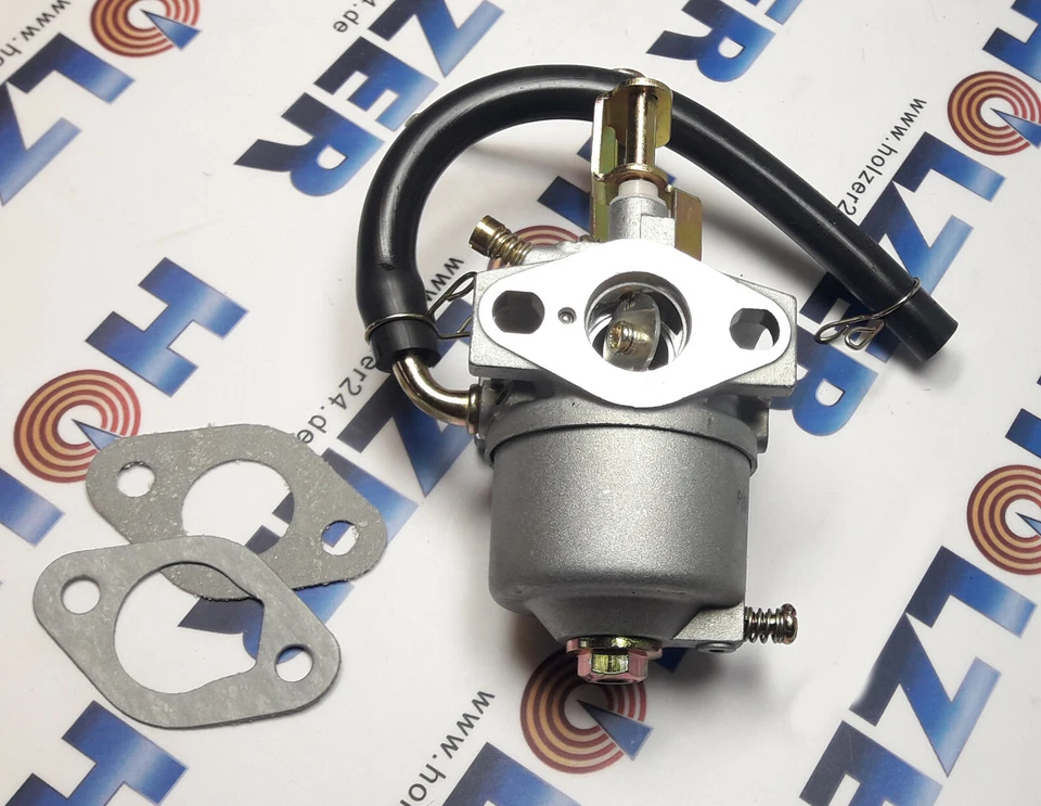 HOLZER Vergaser für Herkules Rüttelplatte RP800 / 1791