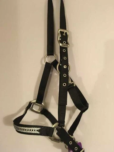 Black Nylon Horse Headcollars & Halters