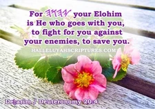 Digital Image Picture Bible Verse Download Only - Help Orphans