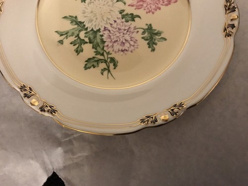 Royal Crown Derby plate Flowers for an Indian Prince Chrysanthemum 307/1500 - Picture 7 of 13