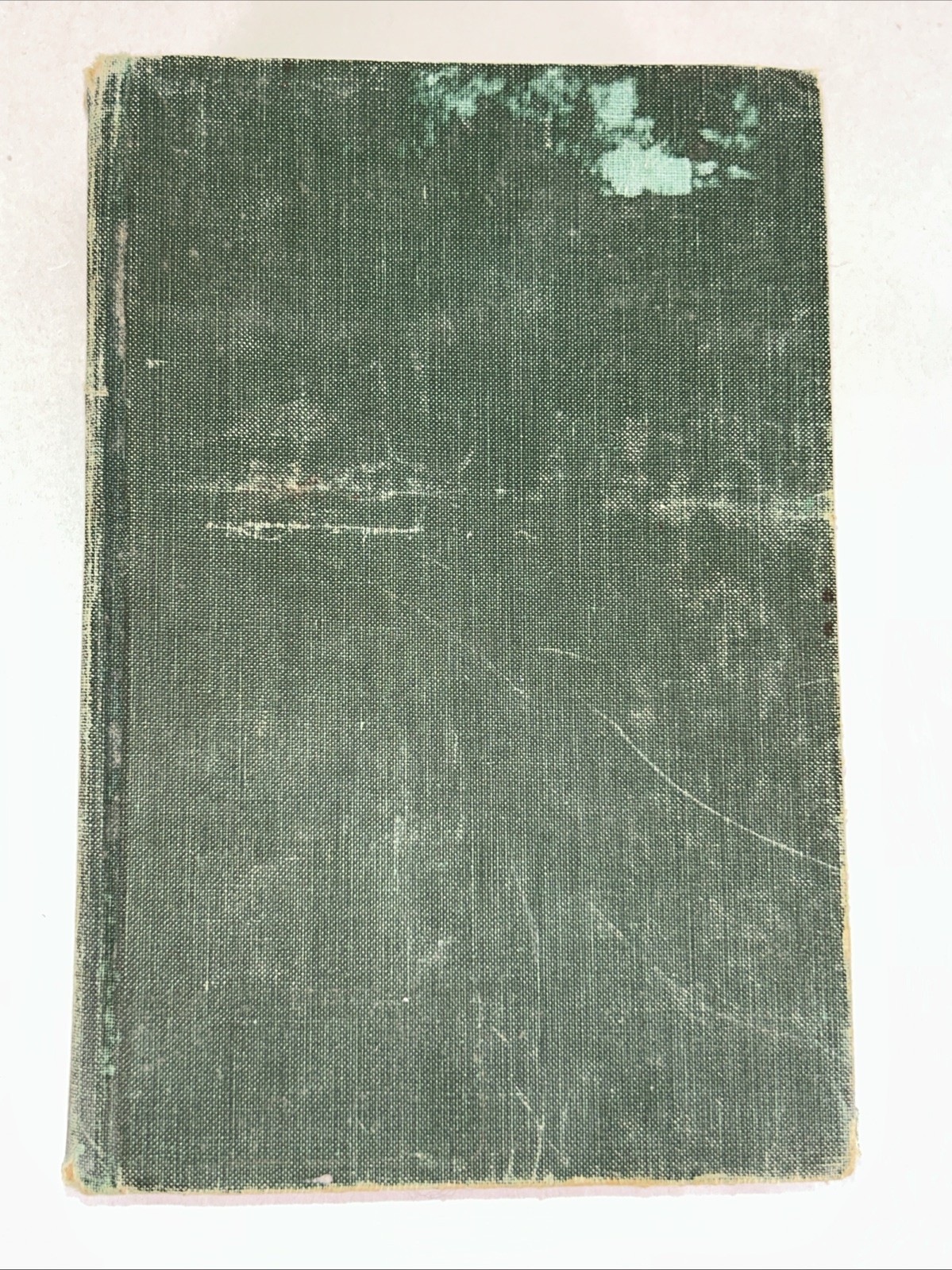 Picture 11 of 24