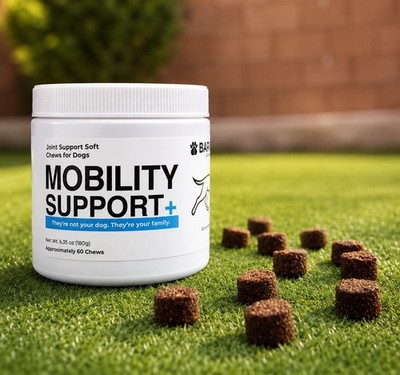 BARKLABZ Mobility Support+ Hip & Joint Soft Chews 60 Ct For Dogs All Ages