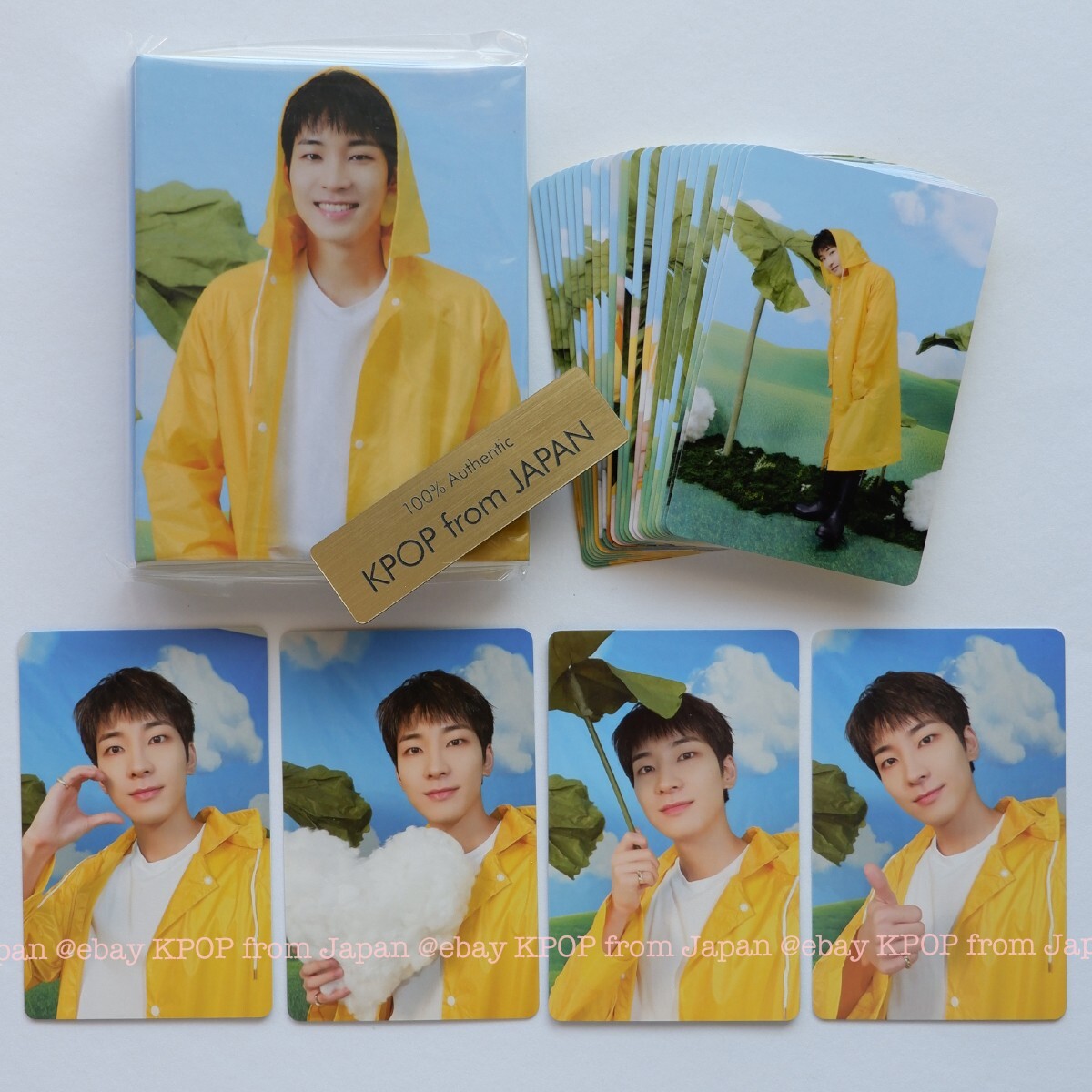 WONWOO SEVENTEEN SEVENTEENTH HEAVEN JAPAN POB Photocard
