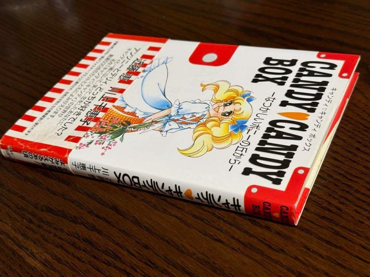 Candy Candy Box Research 500 Artworks Book JAPAN USED #R748