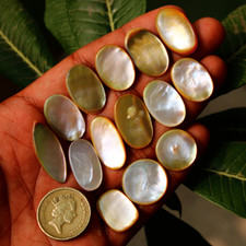 14 Pcs Natural Mother Of Pearl Untreated 18mm-29mm Cabochon Loose Gemstones Lot