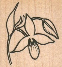 Beautiful Flower 2 x 2" Rubber Stamp, Plant Stamp, Flower Stamp