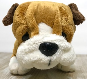 ganz cheektowaga dog