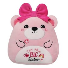 Big Sister Gifts Bear Plush   Pink Bear Stuffed Animal I'm The Big Sister Bear