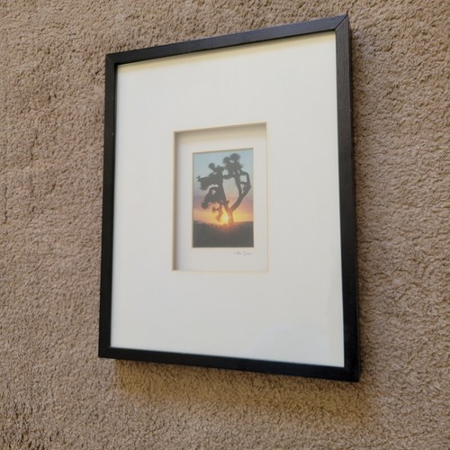 Vintage Joshua Tree Photo by Ellie Tyler Signed Framed Hign Desert 3x5in - Picture 4 of 6