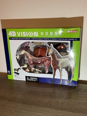 4D Master 4D Vision Horse Anatomy Model 26 Detachable Parts Veterinary Anatomy