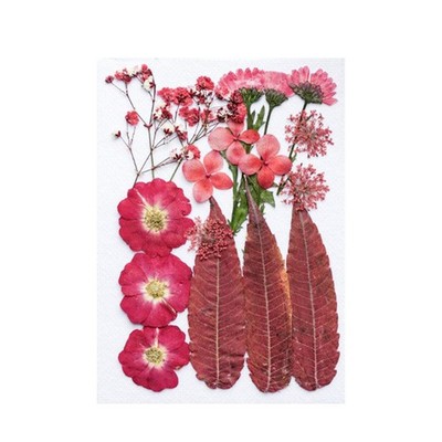 Getrocknete gepresste Blumen Kerze Zum Selbermachen Herstellung Material Trockenblume Make-up Aufkleber Zum Selbermachen