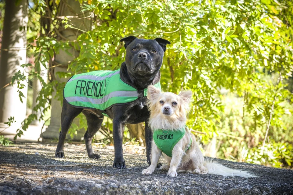 Abrigos para perros S M XL cálidos reflectantes impermeables forrados de lana por FriendlyDogCollars Foto 2 de 4