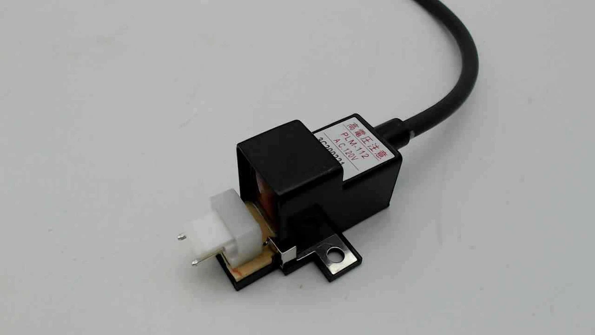 RTG20235C Rheem Ignitor Coil OEM RTG20235C 662766491821 | eBay
