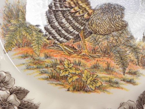 MYOTT WILDLIFE SCHRANKPLATTE TÜRKEI - DANKSAGUNGSPLATTE - Bild 4 von 8
