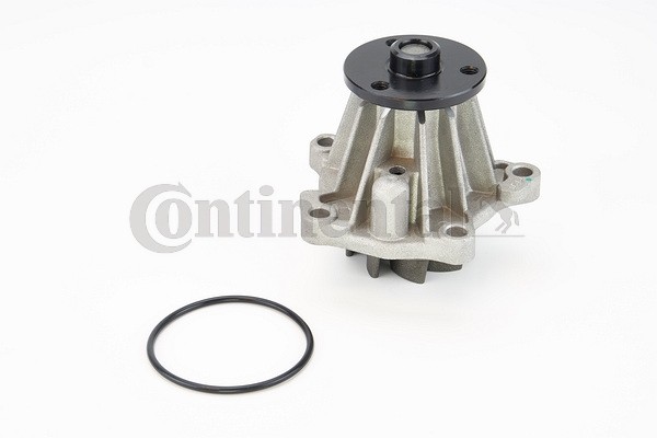 1X Continental Ctam WPS3034 Wasserpumpe MotorküHlung FüR Ford-image