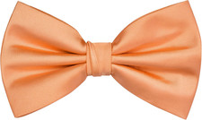 Mens Solid Color Adjustable Pre-tied Bow Tie for Men Party Wedding