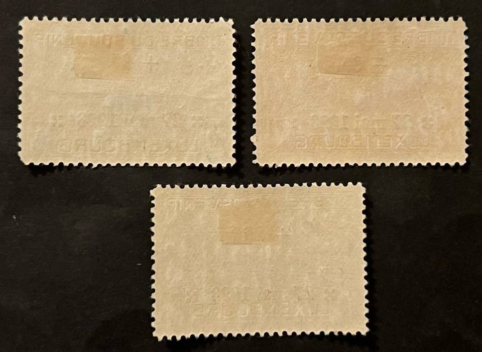 Selos de viagem: 1923 Selos de Luxemburgo Scott #B4-B6 Sobretaxa Memorial de Guerra da Primeira Guerra Mundial MH - Imagem 4 de 4