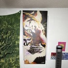 Stephen Fishwick Signed Large Tiger Canvas Print Unframed — photo 3