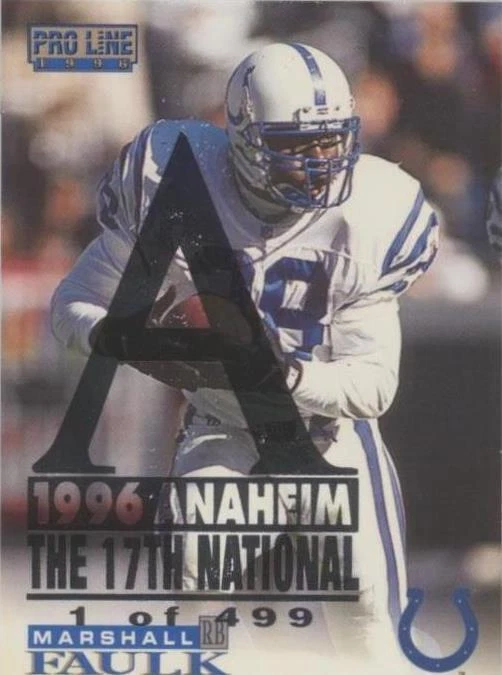 1996 Anaheim National