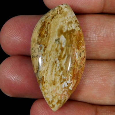 Natural Palm Root Agate Fancy Cabochon 25.90Cts. Reiki Healing Loose Gemstone