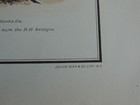 Picture 5 of 5