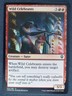 Wild Celebrants Foil - Mtg Magic Cards #AX