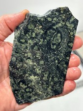 Kambaba Jasper Stromatolite Slab Lapidary Cabbing Combo Ship Avail