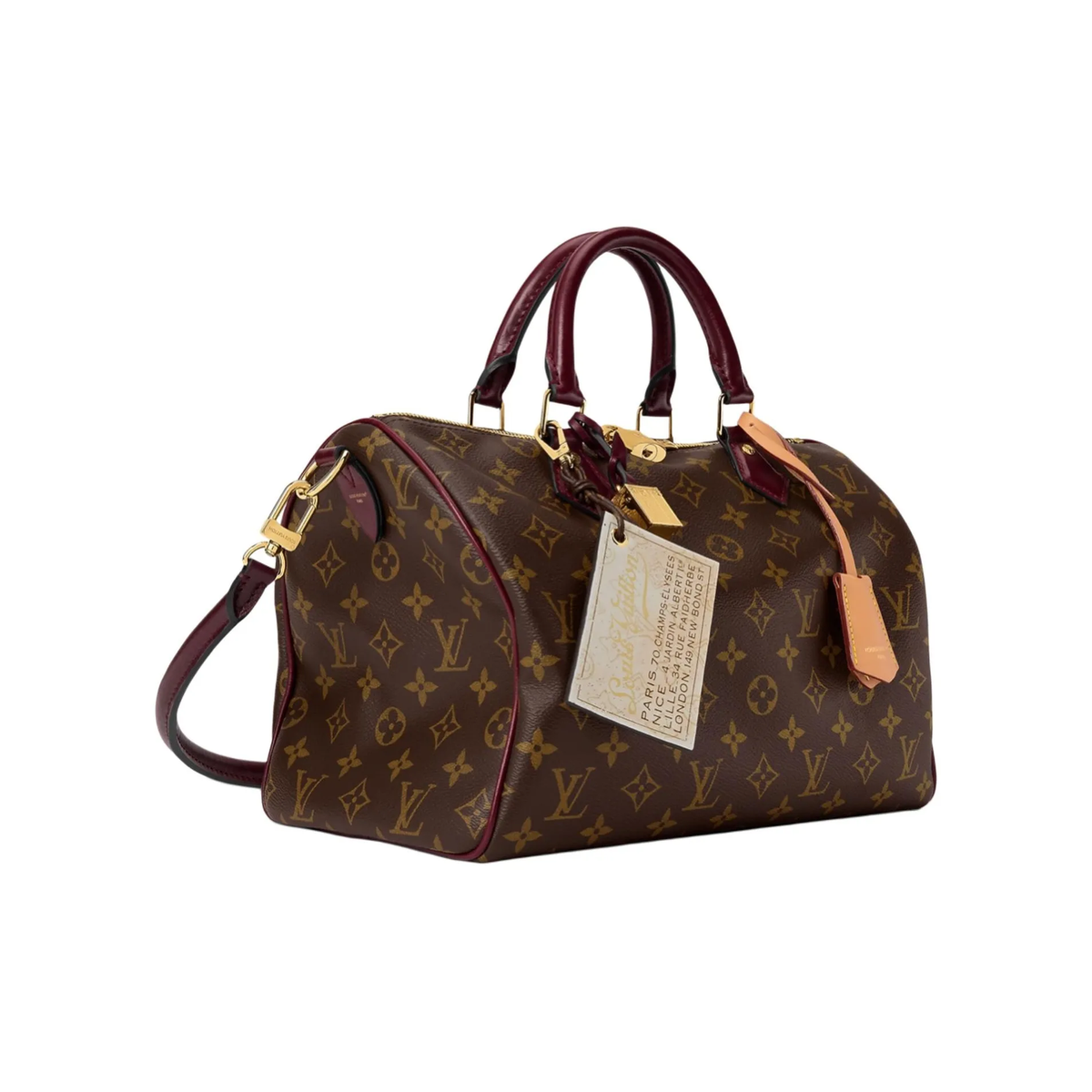 LOUIS VUITTON Speedy 30 SOFT CELEBRATION Monogram Canvas Handbag