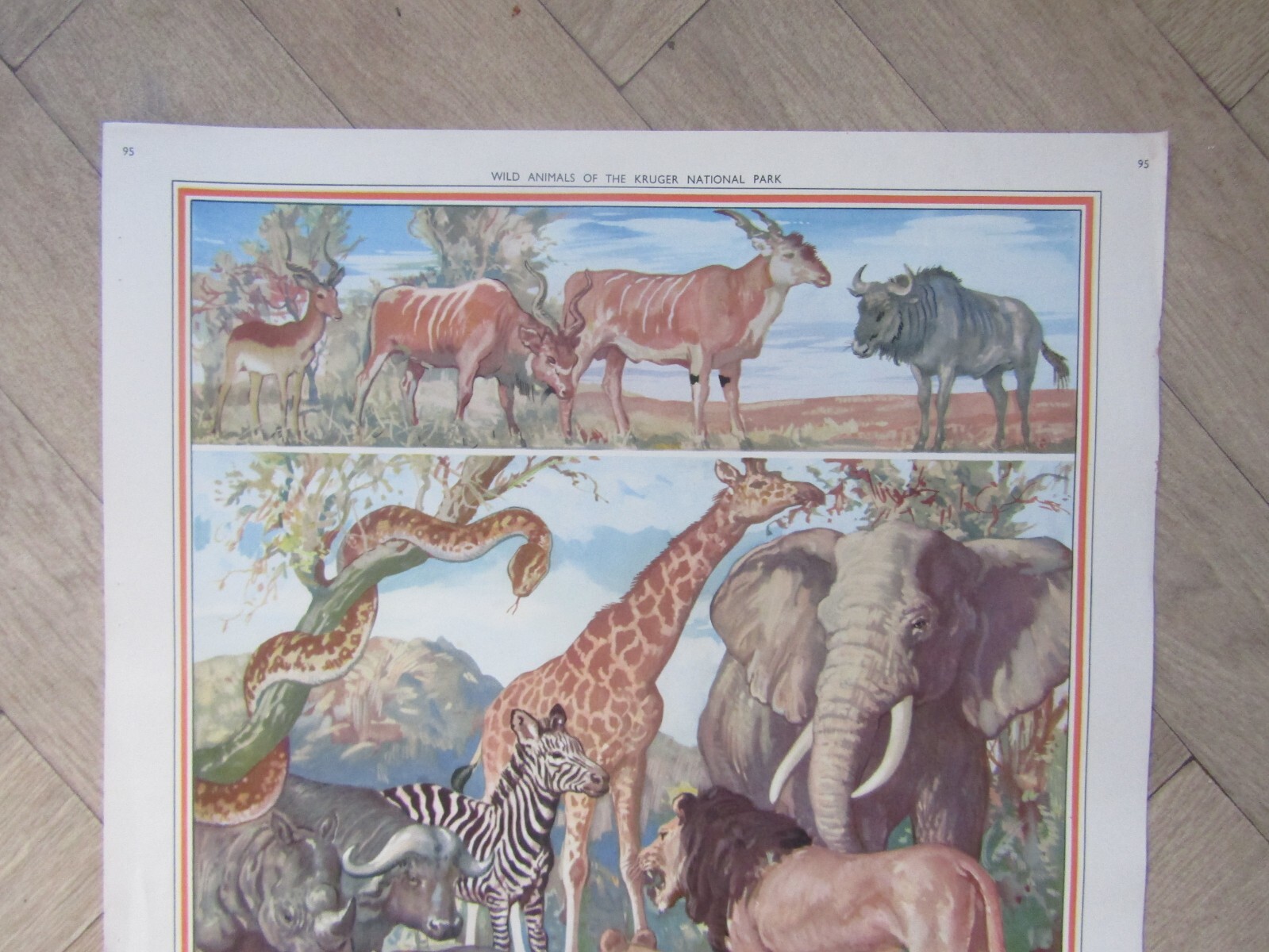 Picture 2