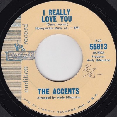 Soul - The Accents   I Really Love You / What Do You Want To Do (Little Darlin')