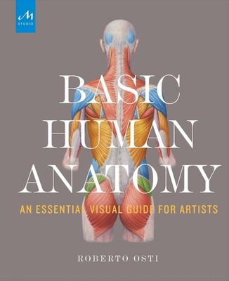 Basic Human Anatomy: An Essential Visual Guide for Artists by Roberto Osti (Engl