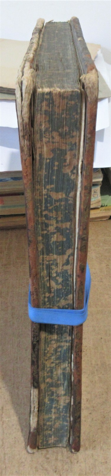 Picture 3 of 12
