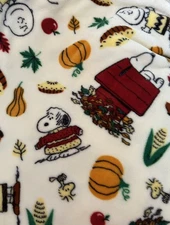 PEANUTS Charlie Brown Gang Snoopy Fall Autumn Throw Blanket 62” x 90” NEW